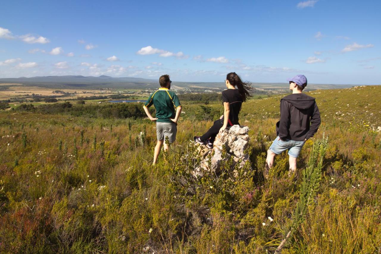 Africamps At Stanford Hills Βίλα Εξωτερικό φωτογραφία